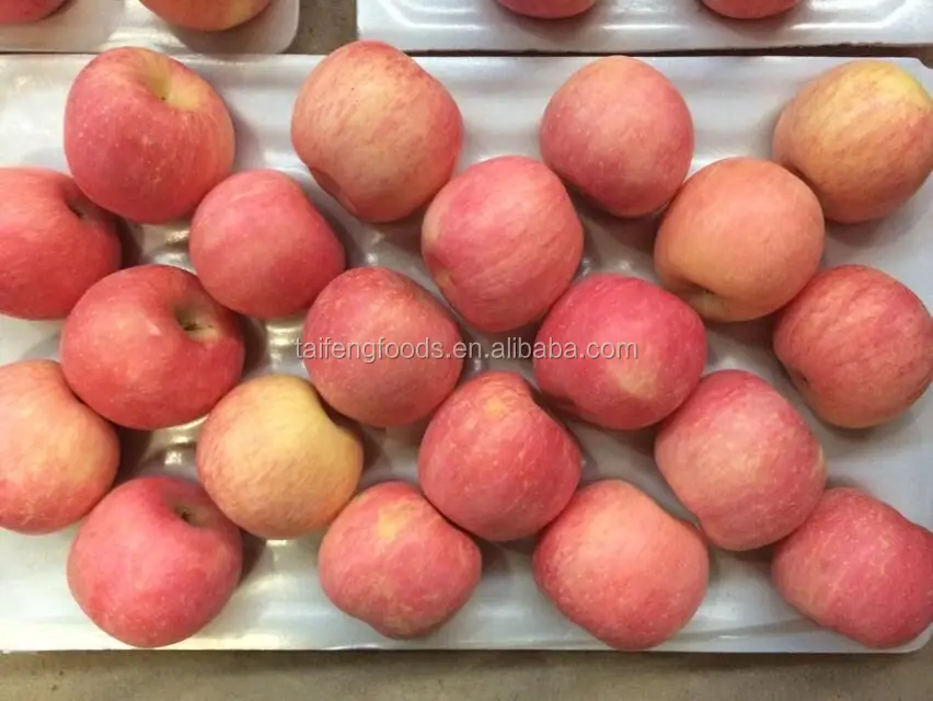 FUJI APPLE 