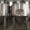 50l-6000l Jacketed Beer Fermentation Equipment/fermentation Tank Bulldog Master Brewer Catalyst Fermenter Houston Texas