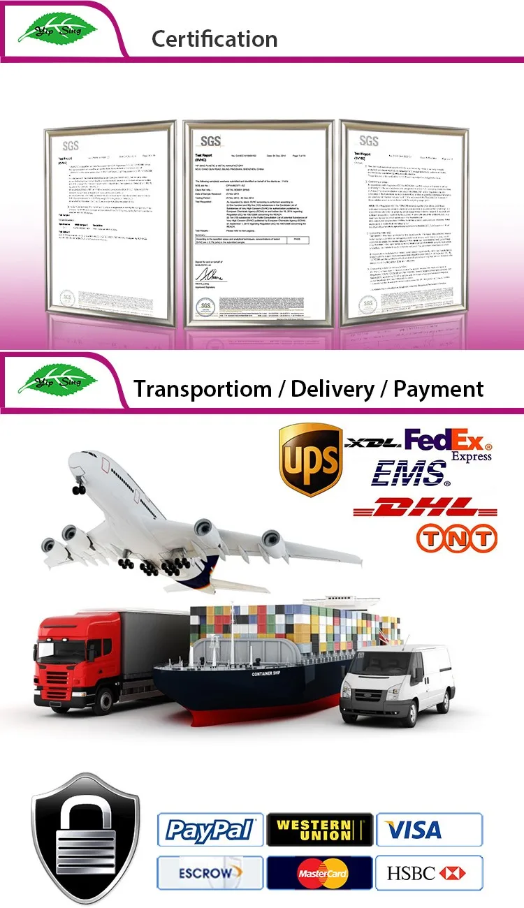 french styles tortoise hair clips