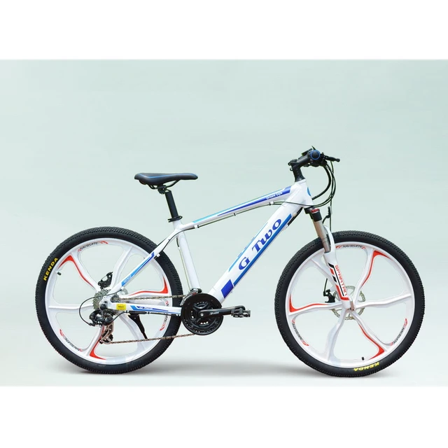 2019 最新惯性巡航山 gps 电动自行车支持远程调整和限制速度