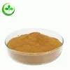 High Quality Organic Yerba Mate Extract, Yerba Mate In Bulk