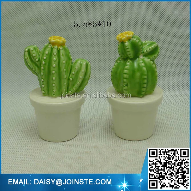
mini colorful cactus plants thailand,baby cactus plant 
