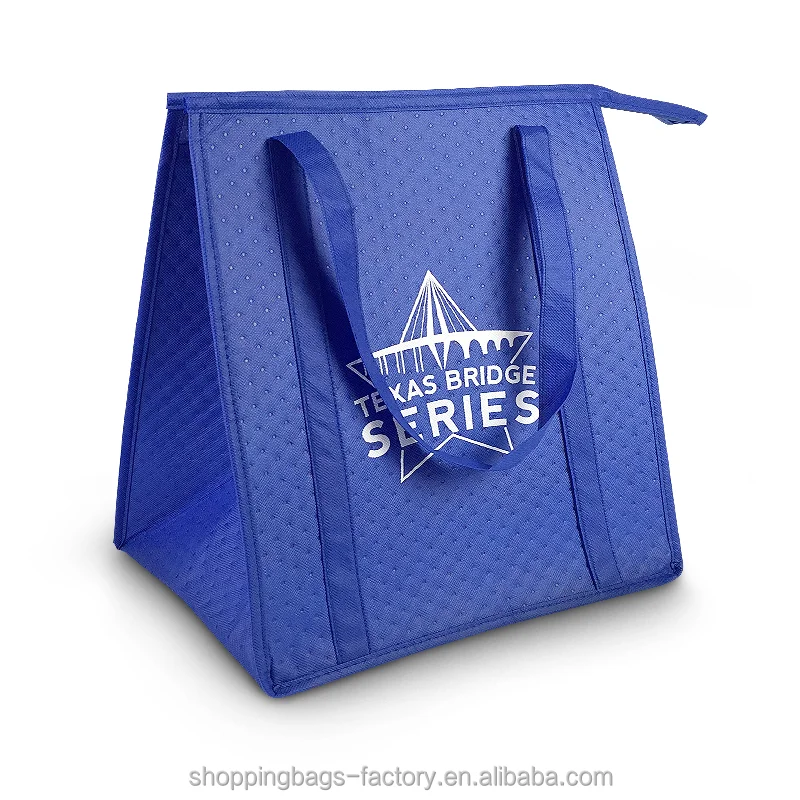 Set of 2 Blue Large Insulated Grocery Bag Collapsible Heavy Duty Nylon