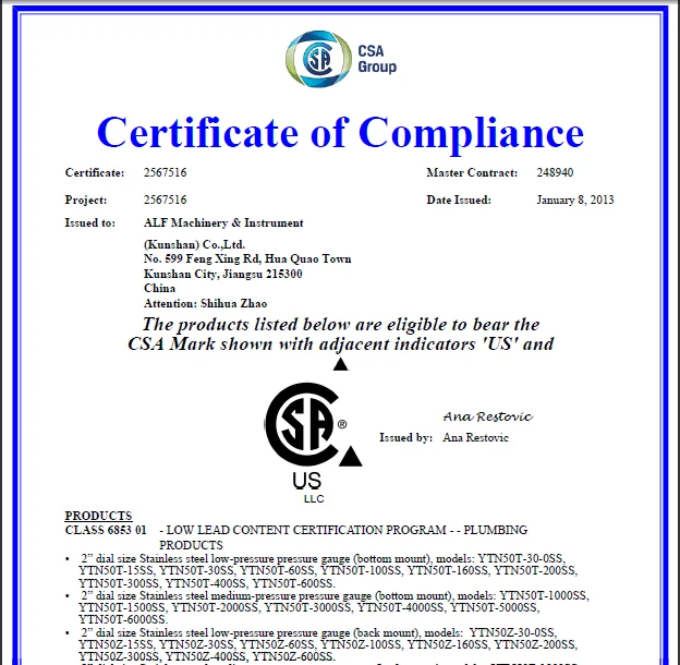 2" Natural Gas Pressure Gauge Digital Buy Pressure Gauge,Natural Gas