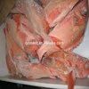 Frozen Pacific Ocean Perch/red fish whole round