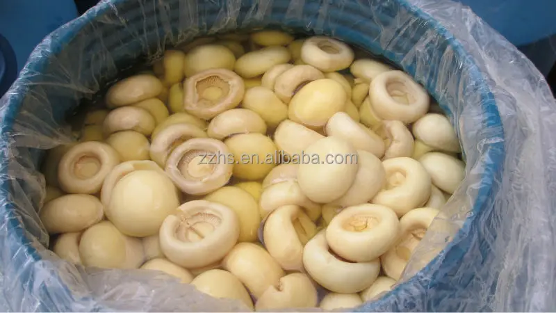 mushroom in drum_3586