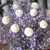 dried natural gypsophila flower bouquet with vase for festival wedding decoration and gift
