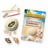 Fossil Digging Activity DIG AND FIND! Ocean Sea Life Shell Dig it Out Excavation Kit