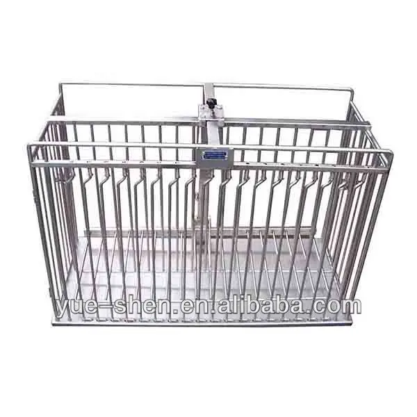veterinary restraint cage.jpg