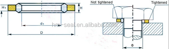 dowty seal drawing.jpg