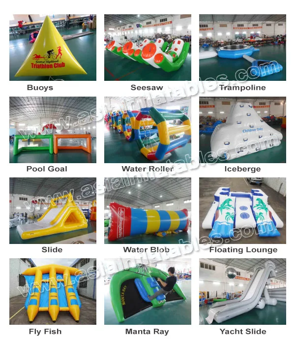 Dolphin Outdoor Children Playground Equipment Inflatable Water Park
