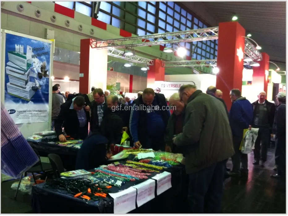 pigeon show in Germany