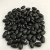 Common Cultivation Black Kidney Bean 2018 Crop Dried Black Kidney Bean