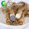 Certified healthy organic fresh ginseng root price