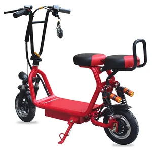 2 person e bike