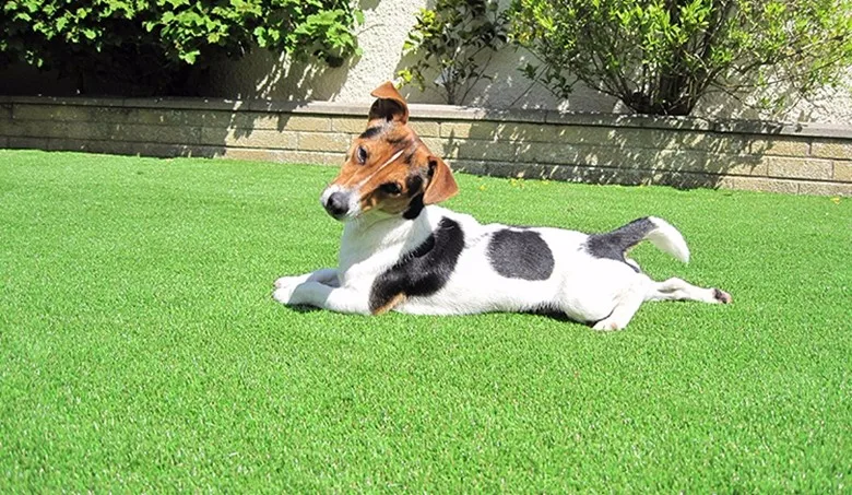 Natural Feeling Artificial Grass Dog Lawn Carpet Artificial Turf For