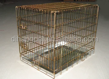 gold dog crate