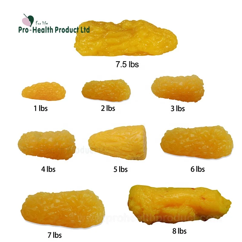 Artificial 7 5lbs Soft Educational Anatomical Human Body Fat Replica 