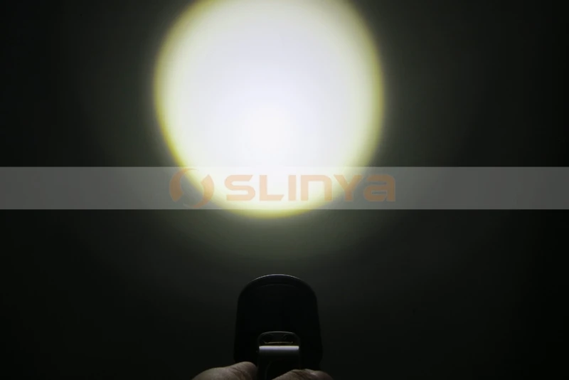 LED hand lamp 8025 140522 (32).JPG