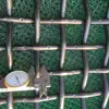 Alibaba Trade Assurance Security woven wire mesh, sand and crusher woven wire mesh ( 25 YEARS EXPERIENCES ISO 9001)