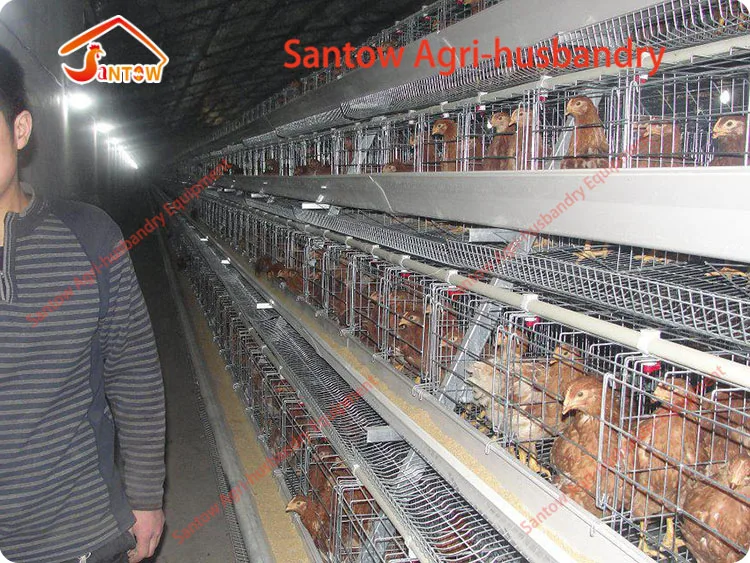 Poultry egg layer cage automatic chicken cage system full wire mesh galvanized chicken battery cage