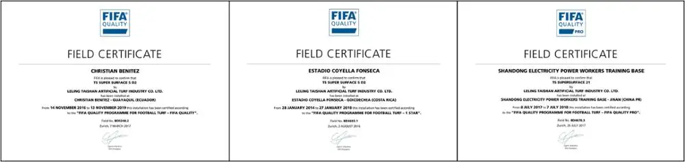 Сертификат fifa