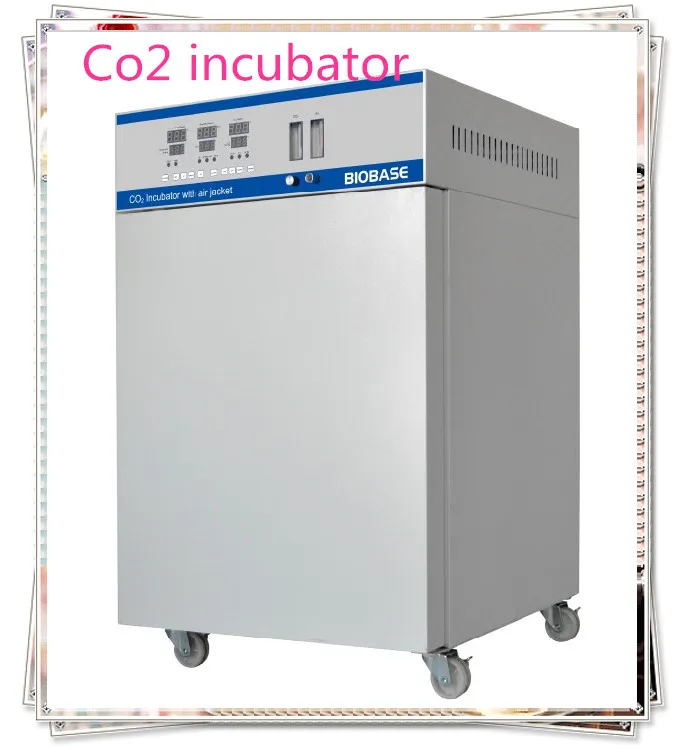 Bjpxc160 Biobase Co2 Incubator,Microbiology Incubator,Business