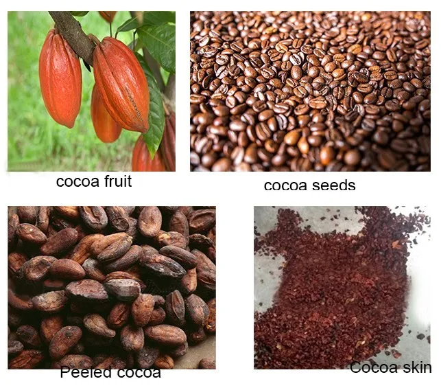 Automatic Coffee Dry Bean Shell Removing Machine/cocoa Shelling Machine