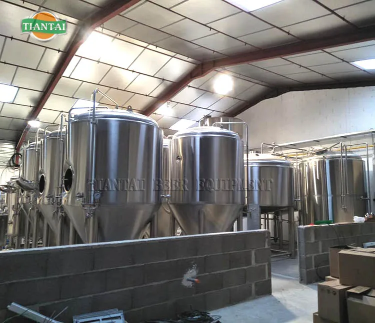 craft beer making plant cost
