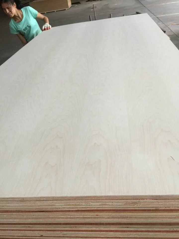 Maple Fancy Plywood Ghana Natural Maple 3mm Maple Melamine Faced