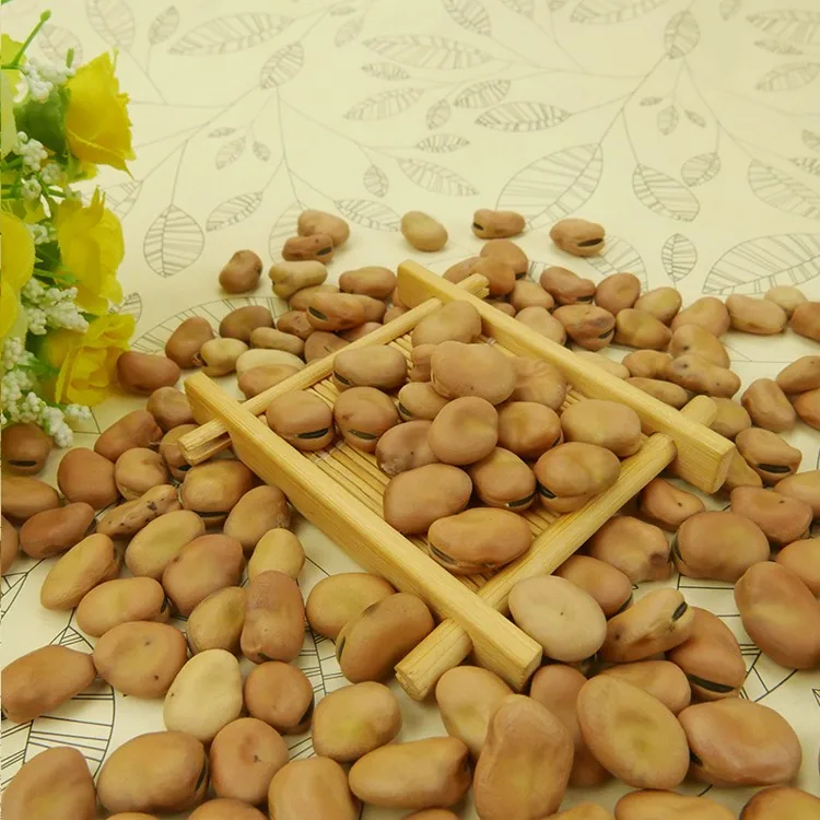 蚕豆浅黄色蚕豆蚕豆食品烹饪