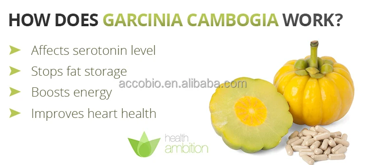 Garcinia Cambogia weiße Niere