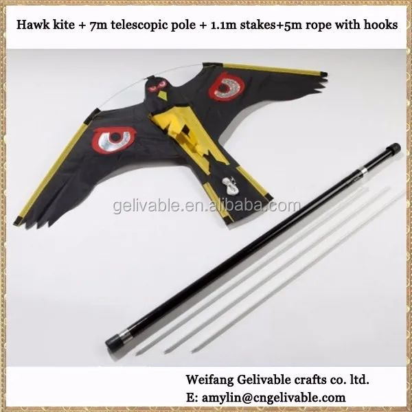 black hawk kite black hawk kite
