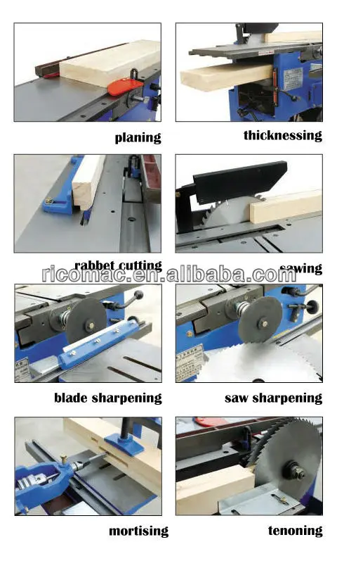 functiong of MLQ343.jpg
