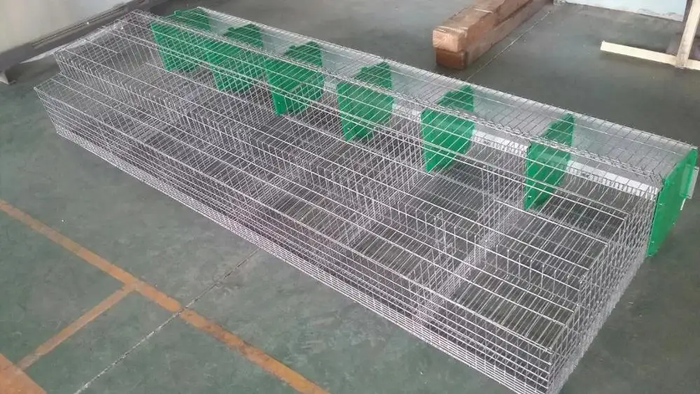 60*60cm New Pp White Color Rabbit Slat Floor Buy Rabbit Plastic Slat