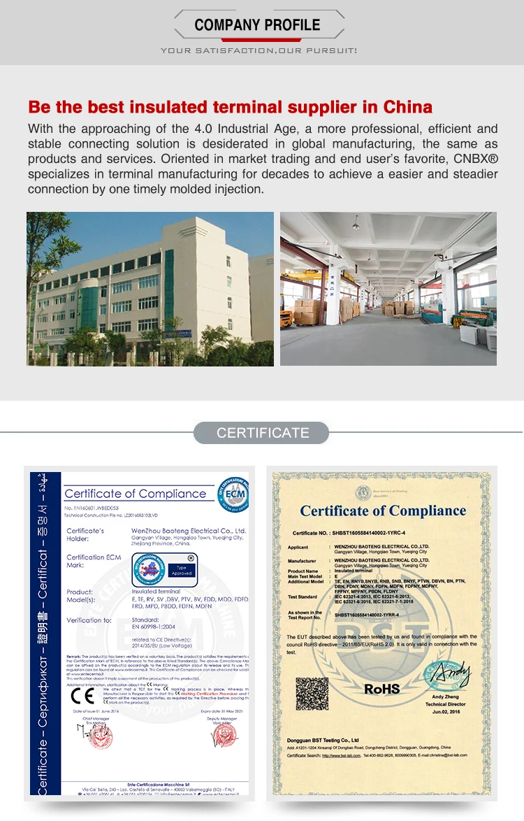 Company Information.jpg