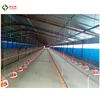 Automatic chicken feeder and drinker for poultry farm