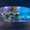 2018 New Sale Transparent Plastic Acrylic Aquarium Transparent Penguin World Panels Polar Bear Large Glass Fish Tanks