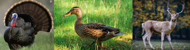 paste-pic-dp_uuid_jlmtl