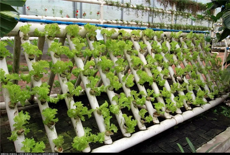 Commercial Nft Hydroponic Gully Systems Buy Nft 