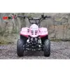 blue quad bike Mini Quad 50CC /70CC/90CC/110CC Mini ATV for Kids