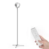 Modern Design Wireless Remote Control Indoor Lamp Living Room Decorative LED Floor Standing Light