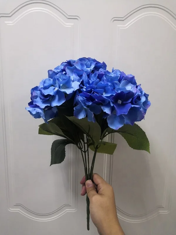 hydrangea (2).jpg