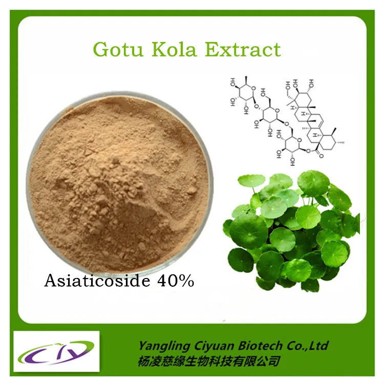 China Supplier High Purity Natural Gotu Kola/centella Asiatica Extract ...