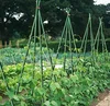 /product-detail/garden-plant-support-stick-62171964082.html