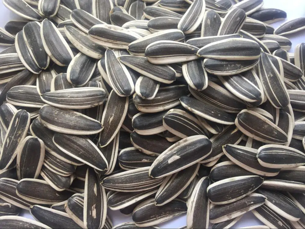 Bulk Sunflower Seeds China Buy Bulk Sunflower Seeds,Sunflower Seeds