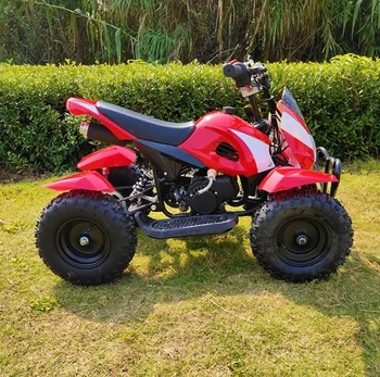 mini quad bike 50cc