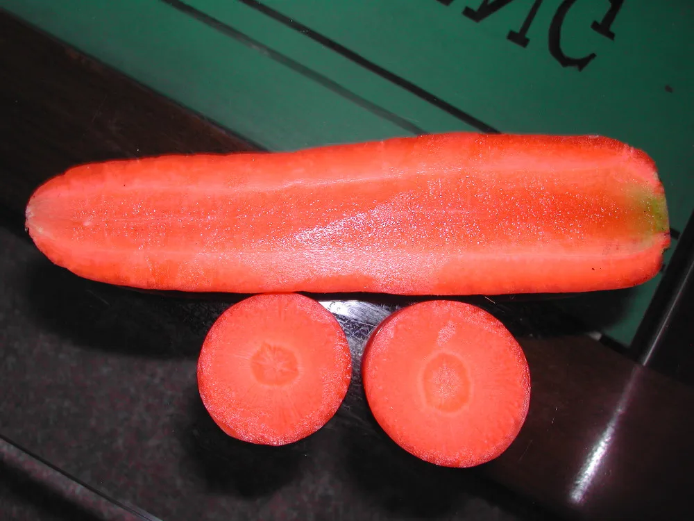 fresh carrot
