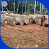 2018 New 70cm + diameter 5 meter and up Tali round logs