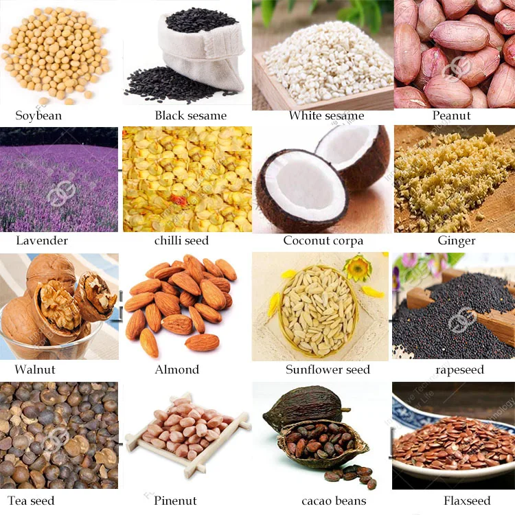 Best Price Small Home Flax Seed Jatropha Nut Flower Oil Expeller Cold Oil Press Machine In Pakistan